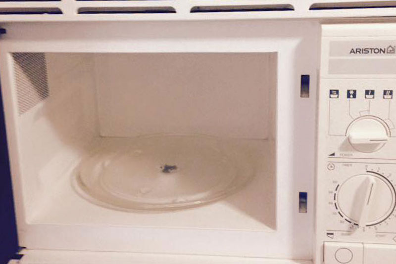 microwave